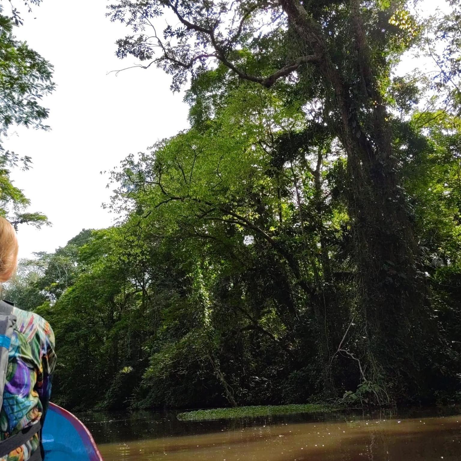 Tortuguero Villas Extérieur photo