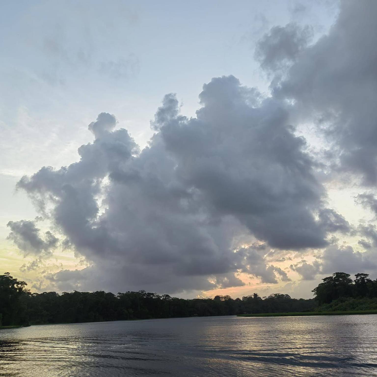 Tortuguero Villas Extérieur photo