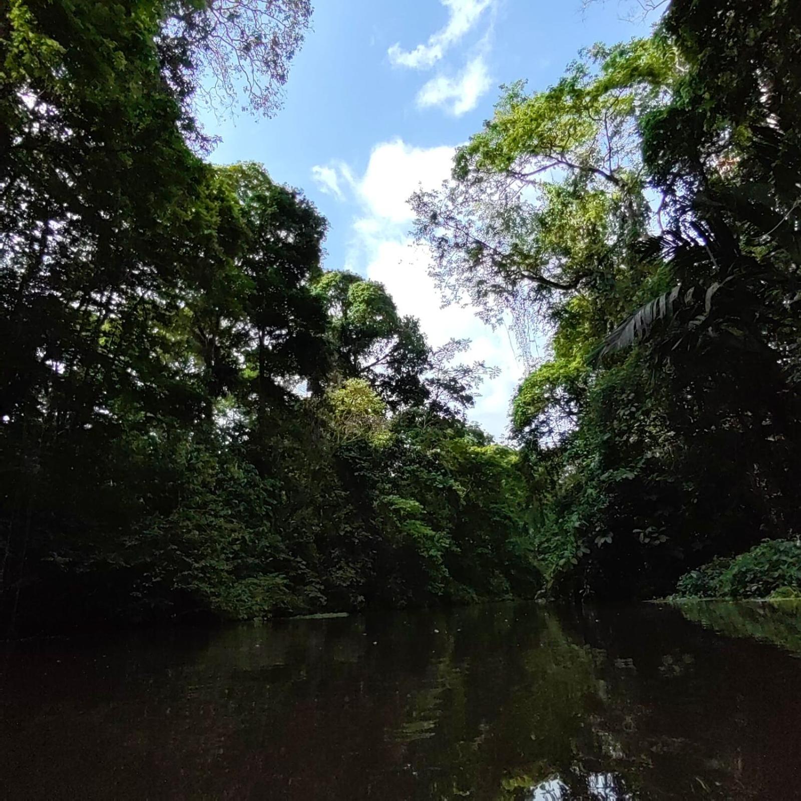 Tortuguero Villas Extérieur photo